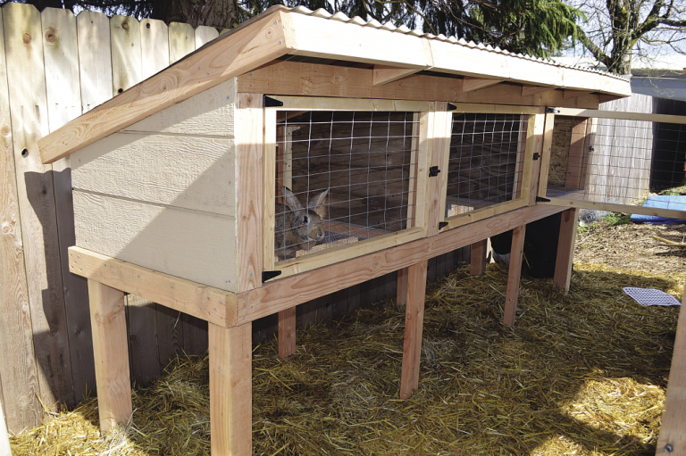 In der Werkstatt : Bau Ihrer eigenen Kaninchenhütte und Traktor