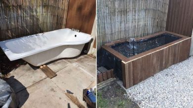 Wie ein Paar eine alte Badewanne in einen Gartenteich verwandelte